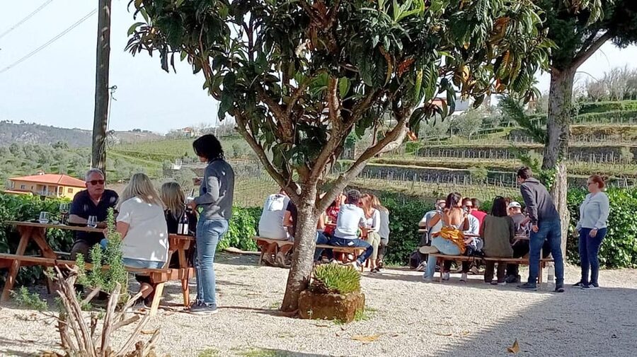 Porto: Douro Valley Vineyards Tour with Lunch & River Cruise - Pinhão cruise on the Douro: slow views that actually teach