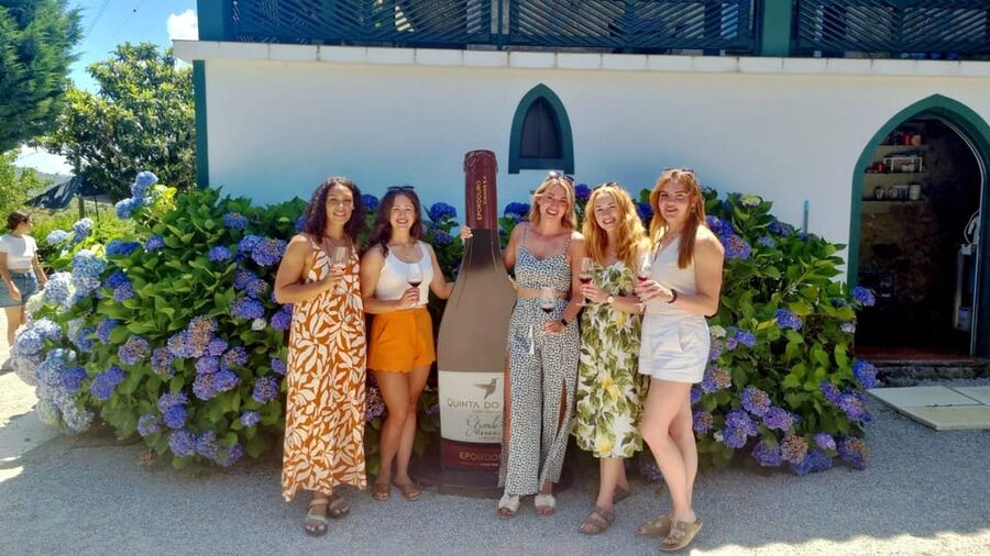Porto: Douro Valley Vineyards Tour with Lunch & River Cruise - How the $111 price stacks up for a full Douro day