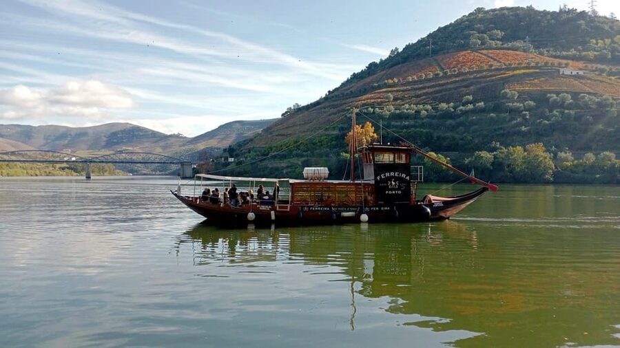Porto: Douro Valley Vineyards Tour with Lunch & River Cruise - What to wear, bring, and expect on the ground