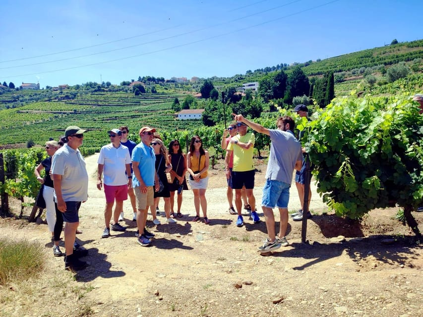 Porto: Douro Valley Vineyards Tour with Lunch & River Cruise - From Porto pickup to the ride that sets the tone
