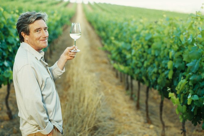 Porto: Douro Valley Wine Tour Including Lunch - The coach ride into the Douro Valley: terraced vineyards you can actually read