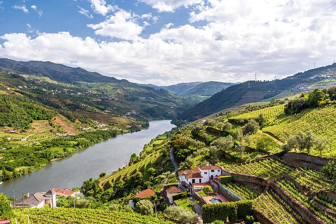 Porto: Douro Valley Wine Tour Including Lunch - São Cristovão do Douro viewpoint and Pinhão arrival: where the photos happen