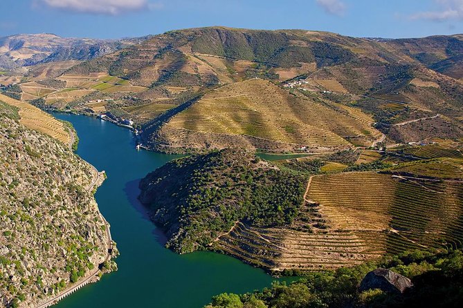 Porto: Douro Valley Wine Tour Including Lunch - National Road 222: one of the best drives for seeing the Douro in layers