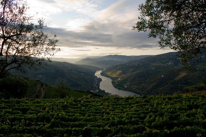 Porto: Douro Valley Wine Tour Including Lunch - Pinhão Rabelo boat cruise: the 45 minutes that change how you see the river