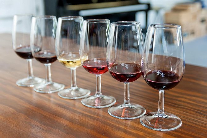 Porto: Douro Valley Wine Tour Including Lunch - Stop 1 in the valley: classic adegas, cellar time, and the first tasting
