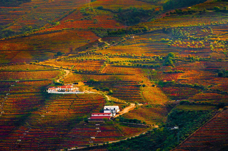 Porto: Douro Valley Wine Tour with a Sommelier & Boat Trip - What to bring, and how to pace yourself