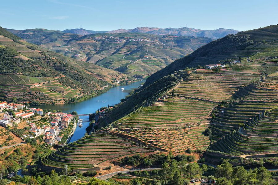 Porto: Douro Valley Wine Tour with a Sommelier & Boat Trip - The N222 drive: where the scenery does the talking