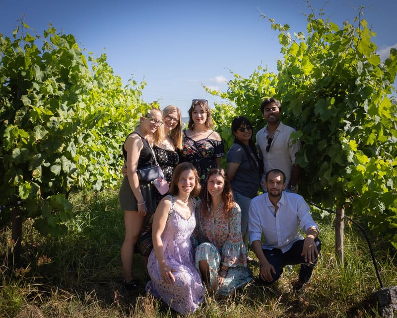 Porto: Douro Valley Wine Tour with a Sommelier & Boat Trip - Second winery in the Douro: 5th-generation storytelling and Port tastings