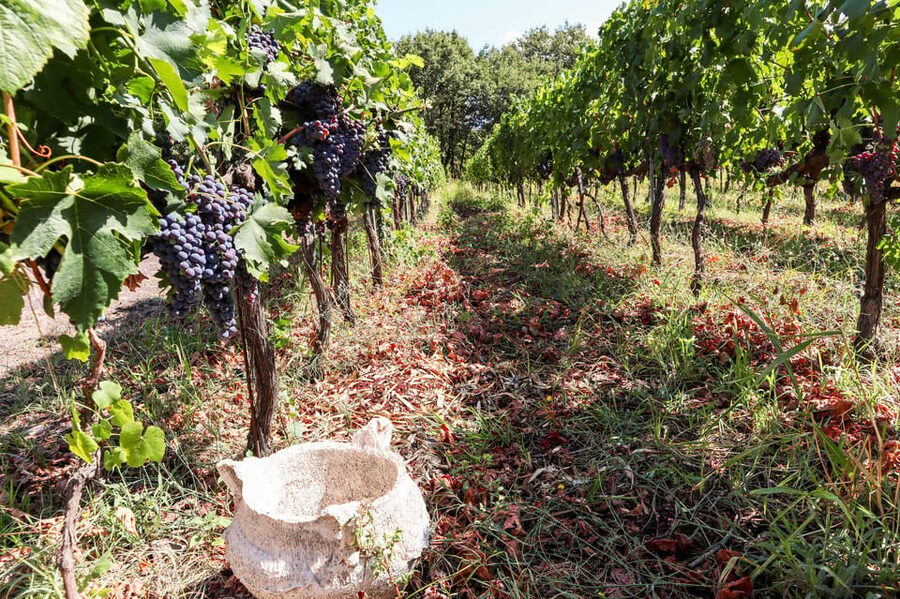 Porto: Douro Valley Wine Tour with a Sommelier & Boat Trip - Price and value: what $127 buys you, really