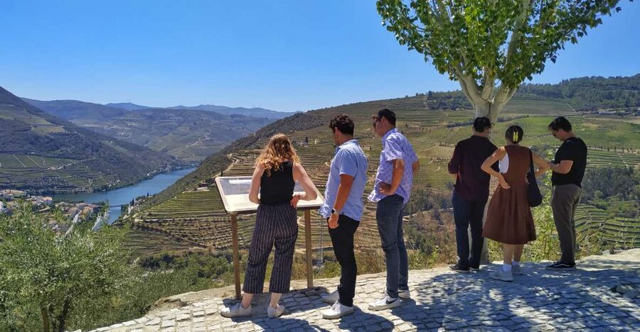 Porto: Douro Valley Wine Tour with Tastings, Boat, and Lunch - Who this Porto to Douro day tour suits best