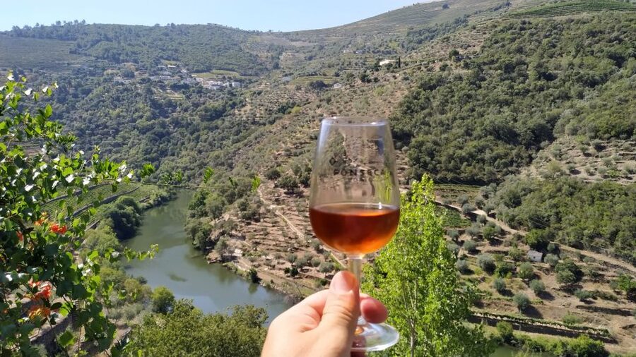 Porto: Douro Valley Wine Tour with Tastings, Boat, and Lunch - Transportation and group size: the comfort stuff that affects your day