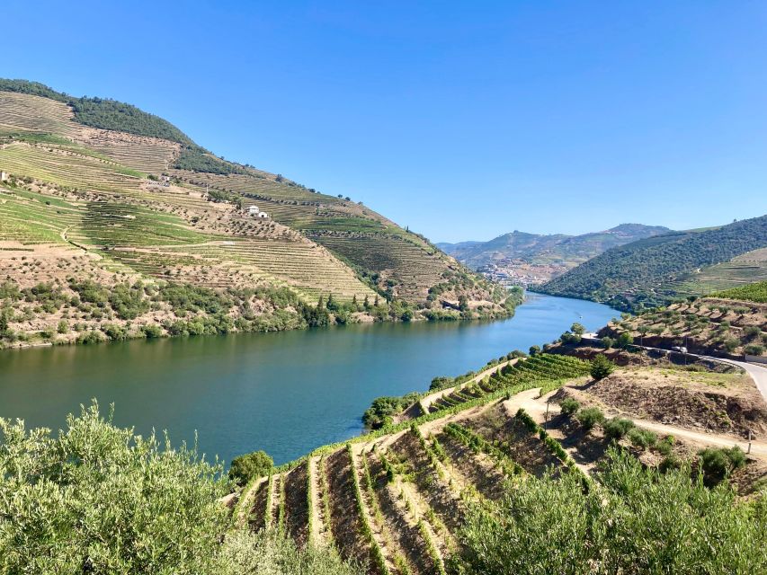 Porto: Douro Valley Wine Tour with Tastings, Boat, and Lunch - The morning drive from Porto: N222 views and a real coffee break