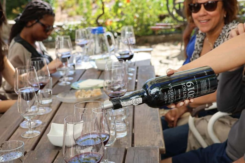 Porto: Douro Valley with Small Wineries, Lunch and Boat Tour - Porto to the Douro on the N222: the views start early