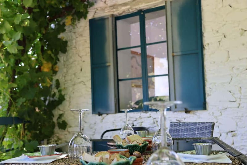 Porto: Douro Valley with Small Wineries, Lunch and Boat Tour - The 1-hour Douro River boat cruise: short, scenic, and worth it