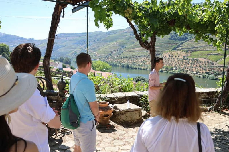 Porto: Douro Valley with Small Wineries, Lunch and Boat Tour - Traditional lunch: where the day slows down