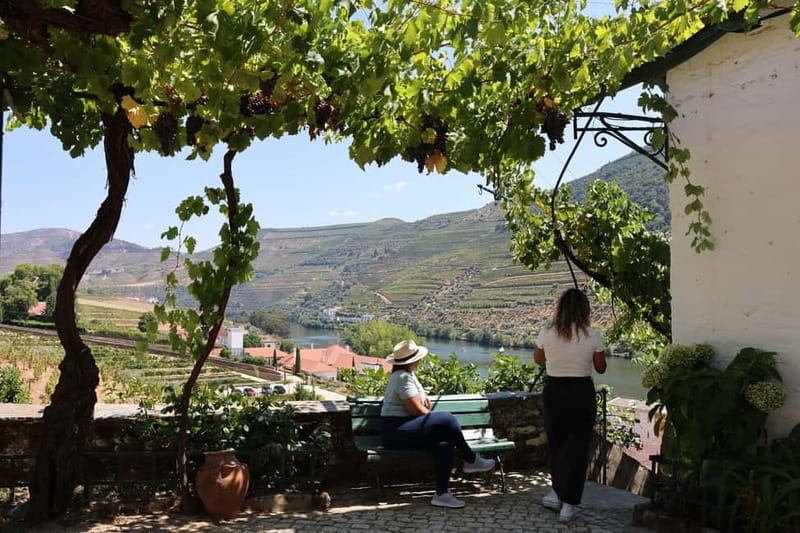 Porto: Douro Valley with Small Wineries, Lunch and Boat Tour - Price and value: what $111 covers, and what to watch for