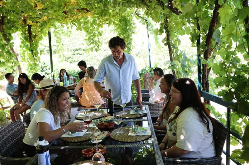 Porto: Douro Valley with Small Wineries, Lunch and Boat Tour - Who should book this Douro small-winery day from Porto