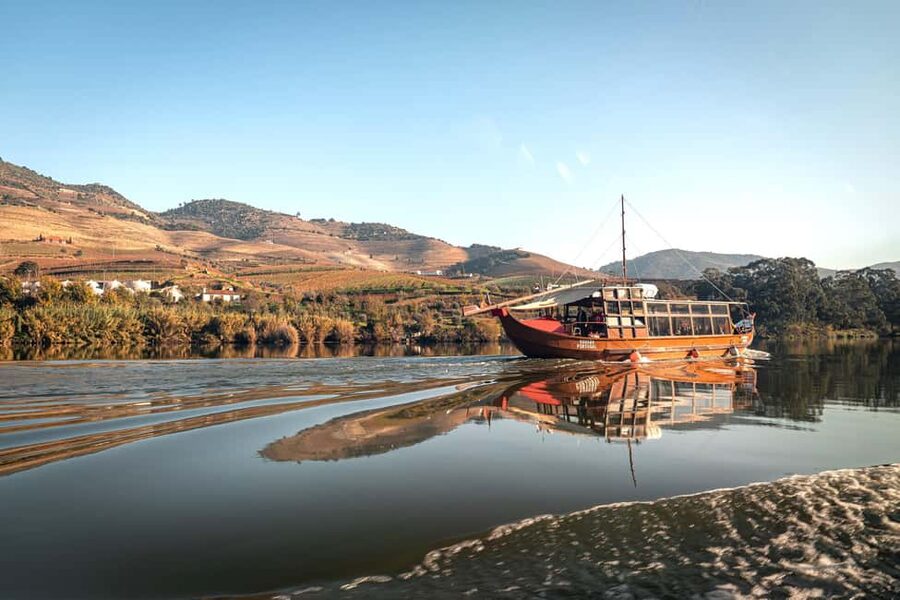 Porto: Douro Wine Tour with Lunch and River Cruise - The scenic N222 road and photo stops you will actually use