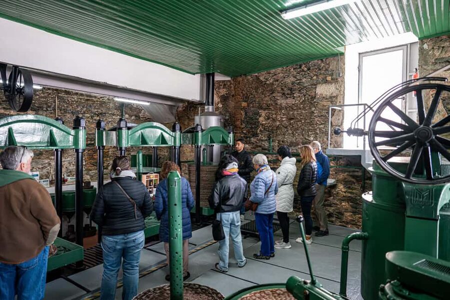Porto: Douro Wine Tour with Lunch and River Cruise - Second winery stop: the comparison that makes the day click