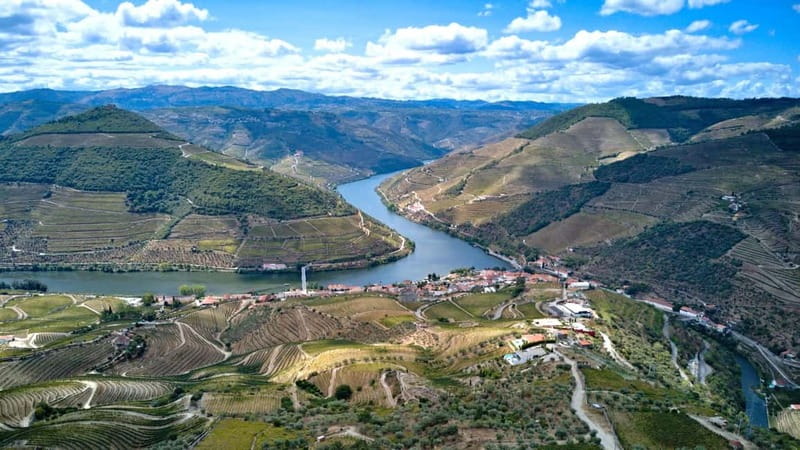 Porto: Douro Wine Tour with Lunch and River Cruise - Rain plans, comfort items, and how to pack for 9 hours
