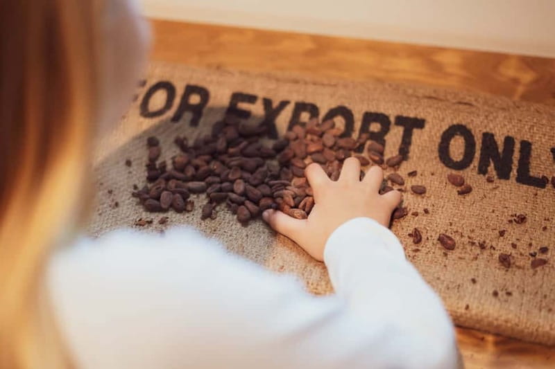 Porto: Entry Ticket at WOW The Chocolate Experience by 20|20 - Checking in at The Chocolate Story and planning your 1.5 hours