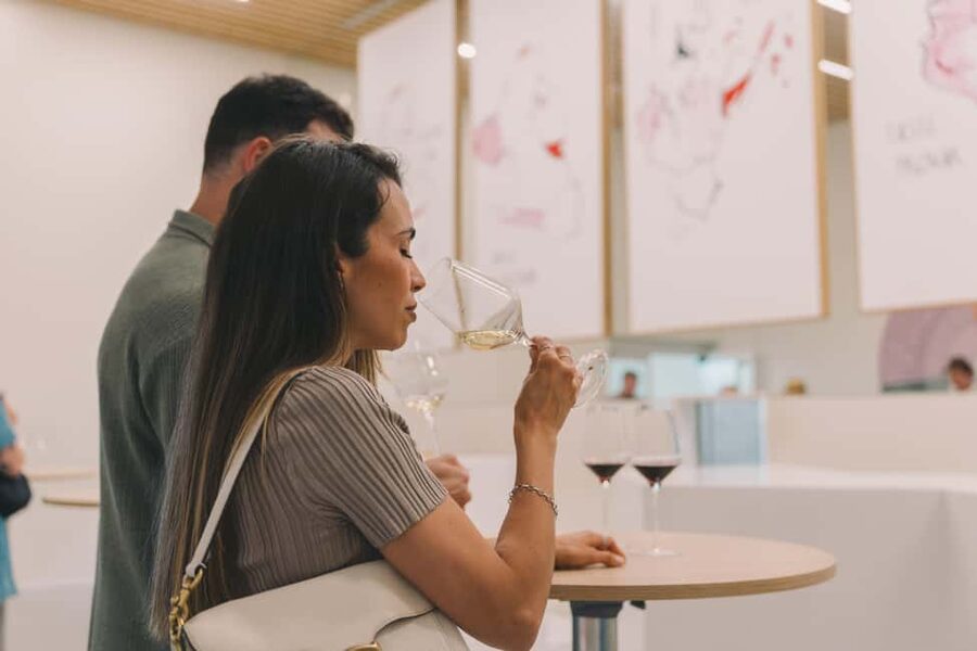 Porto: Entry Ticket at WOW - The Wine Experience Museum - Should you book the WOW Wine Experience ticket in Porto?
