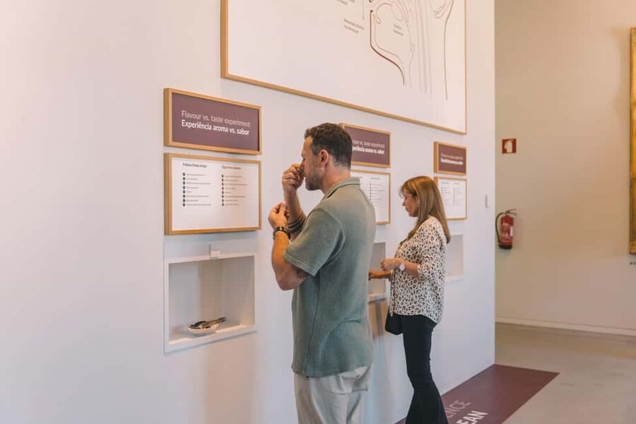 Porto: Entry Ticket at WOW - The Wine Experience Museum - WOW in Porto: what makes the Wine Experience feel worth your time