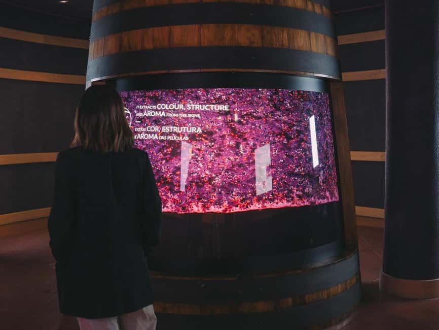 Porto: Entry Ticket at WOW - The Wine Experience Museum - The guided tasting: red, white, and port without the stress