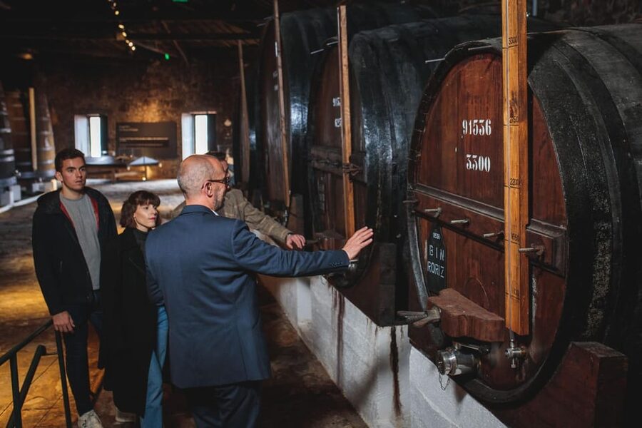 Porto: Fonseca Cellar Tour & Fado Show with Optional Dinner - Logistics that can make or break the night: walking, seating, and finding the entrance