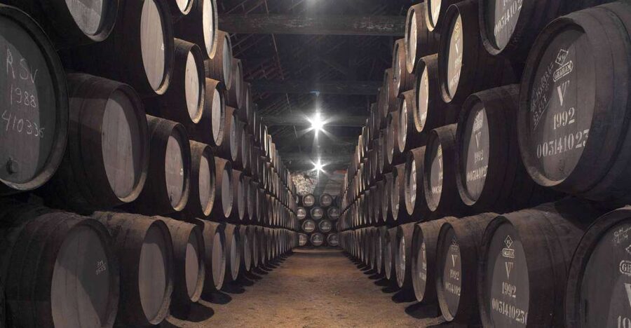 Porto: Graham's Port Lodge Tour with Premium Wine Tastings - The Cellar Tour Walkthrough: Pipes, Oak Vats, And Vintage Port Storage