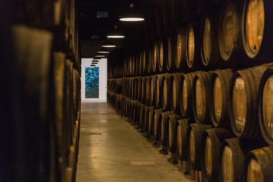 Porto: Guided Tour and Tasting of 3 Port Wines at Poças - Poças Port tour, why this one feels like value