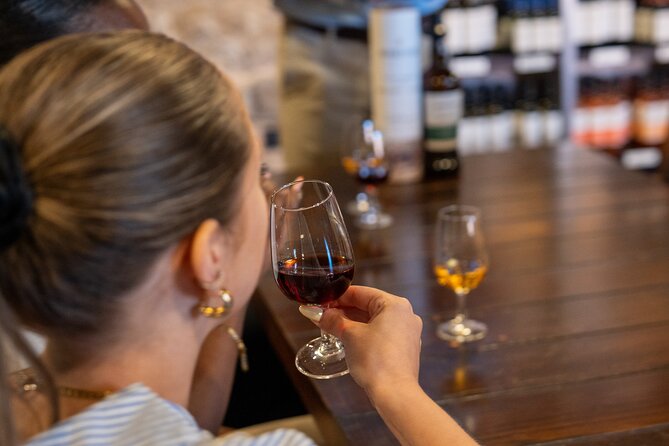 Porto Half-Day Guided Historical Tour with Port Cellar Visit and Tasting - How the guide makes or breaks the experience