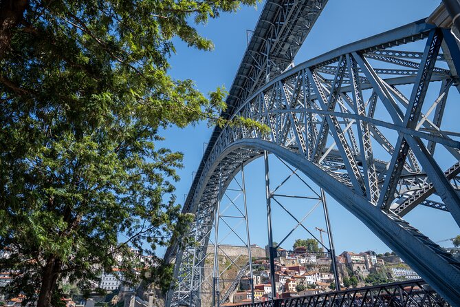 Porto Half-Day Guided Historical Tour with Port Cellar Visit and Tasting - Timing, transit, and the practical rhythm of your day