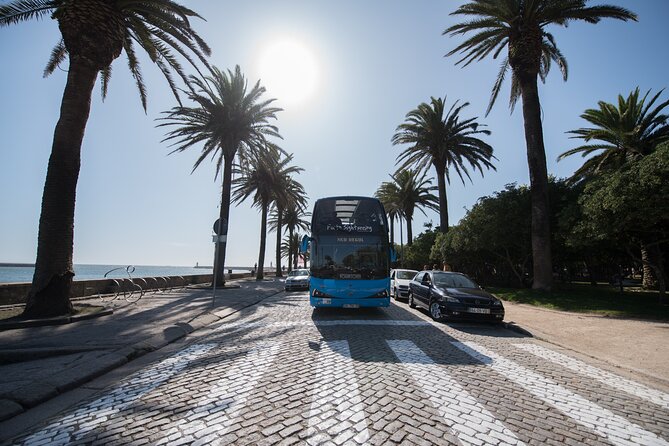 Porto Hop On Hop Off Bus Tour with Wine tasting & Night tour - Should you book this Porto Hop On Hop Off bus with wine tasting and night tour?