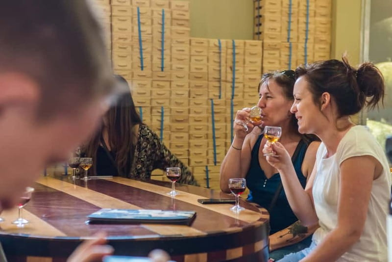 Porto: Magic Train Tour and Port Wine Cellar with Tastings - Key highlights worth your attention