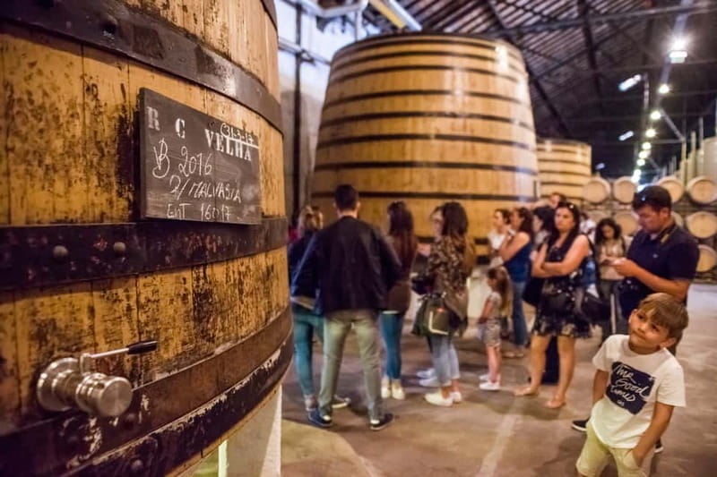 Porto: Magic Train Tour and Port Wine Cellar with Tastings - Why Porto by Magic Train works (and when it might not)