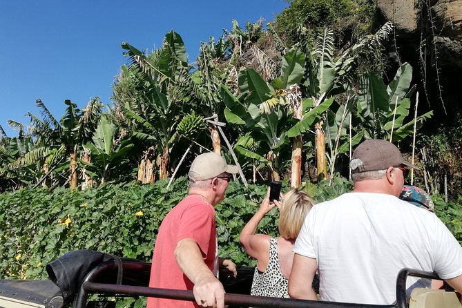 Porto Moniz - Private Full-Day - Safari 4x4 Tour - NorthWest - Price and what you actually get for it