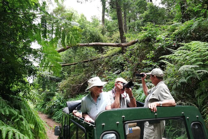 Porto Moniz - Private Full-Day - Safari 4x4 Tour - NorthWest - Meet Miguel and the UMM jeep: how the ride really feels