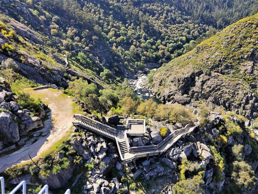 Porto: Paiva Walkways and Suspension Bridge Hike with Lunch - Why the small group size matters (more than you think)