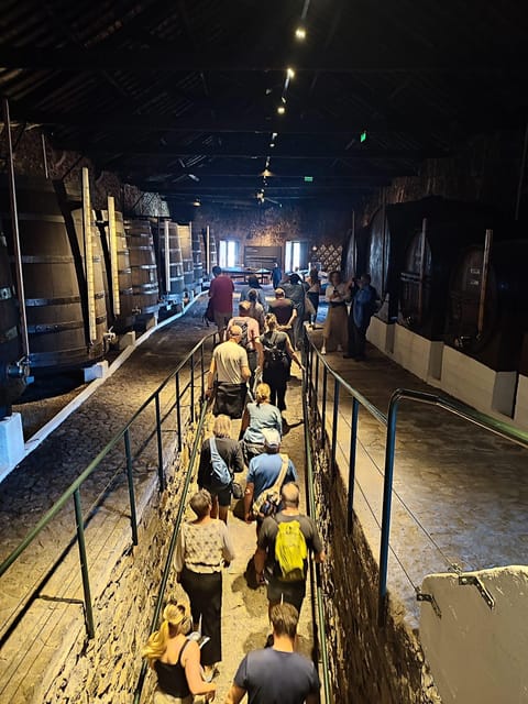 Porto: Port and Douro Wine Walking Tour with 9 Tastings - The 3-hour walk: how to plan your afternoon