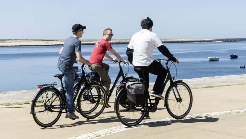 Porto Private E-Bike Tour: Douro River, Parks & Beaches - Key points you will feel right away