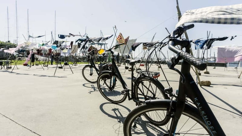 Porto Private E-Bike Tour: Douro River, Parks & Beaches - Parks and the calm return: Parque da Cidade, Pasteleira Park, Museu do Porto