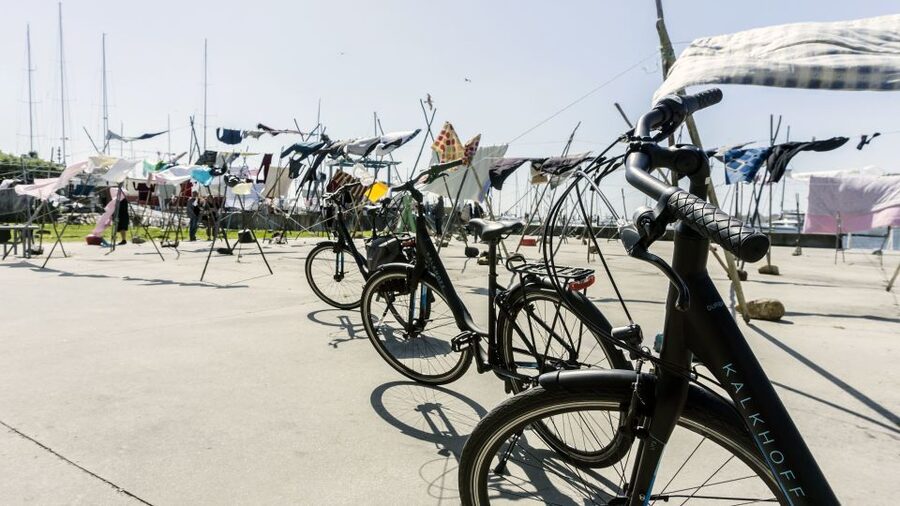 Porto Private E-Bike Tour: Douro River, Parks & Beaches - What you learn beyond the photos