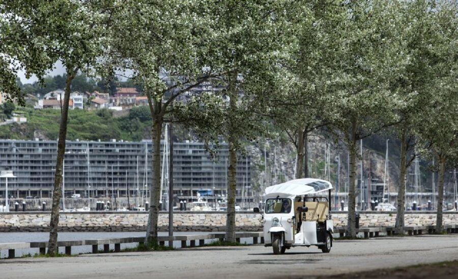 Porto: Private Sightseeing Tour by Electric Tuk Tuk - Clérigos Tower and Avenida dos Aliados: viewpoints plus city life
