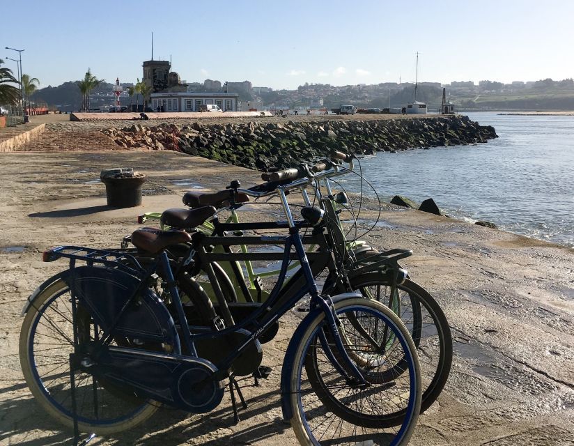 Porto: Riverside Panoramic E-Bike Tour - Parque da Cidade do Porto, your green reset before you head back
