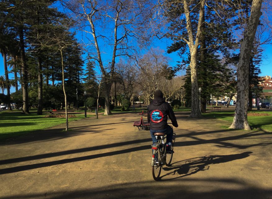 Porto: Riverside Panoramic E-Bike Tour - How hard is it on an e-bike, and what to watch for on cobblestones