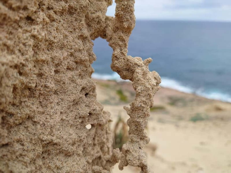 Porto Santo: Island Highlights 4x4 Tour with Hotel Transfers - Groups, Guides, and the Pace You Should Expect
