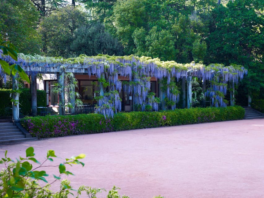 Porto: Serralves Foundation All Access Pass - Practical tips for a smoother Serralves day in Porto