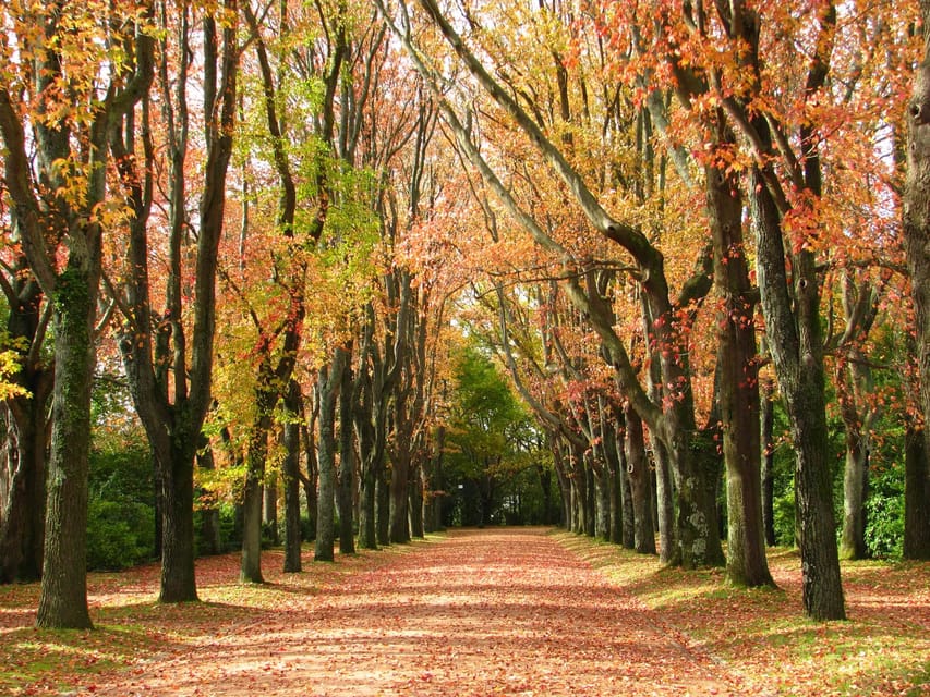 Porto: Serralves Foundation All Access Pass - Serralves Park, 18 hectares of walking, sitting, and finding your own pace