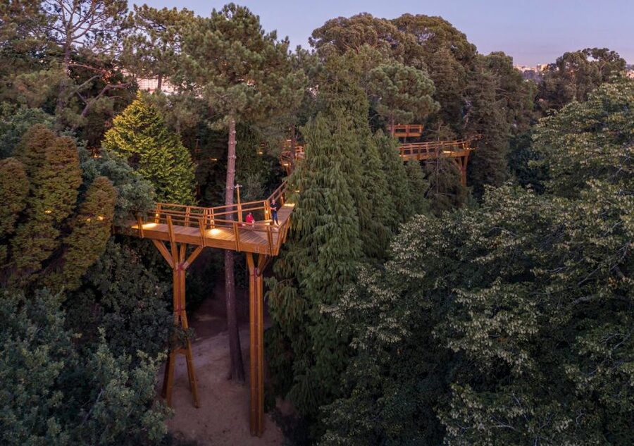 Porto: Serralves Park Entry Ticket - Biodiversity on 18 hectares: what you can actually spot